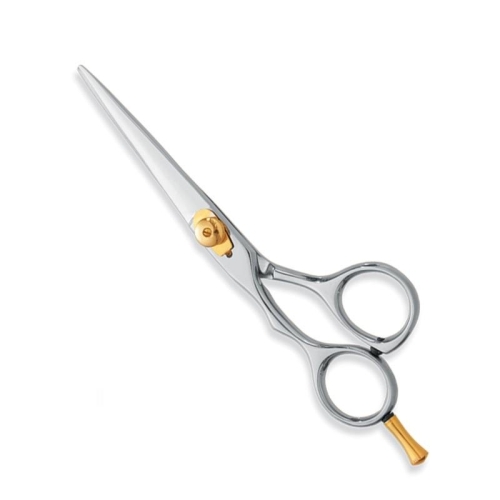 Professional hair Cutting Scissor
