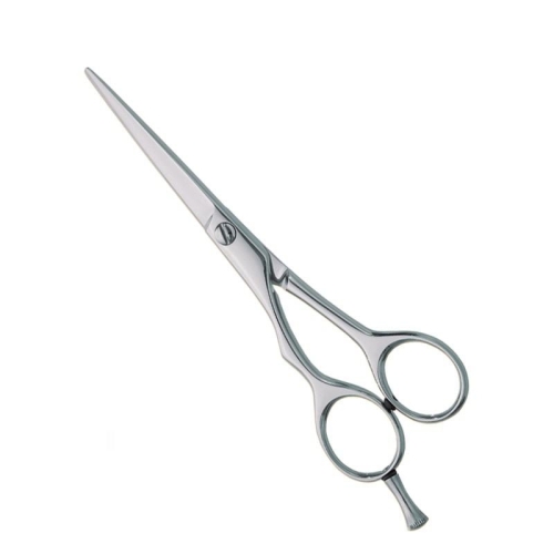 Professional hair Cutting Scissor