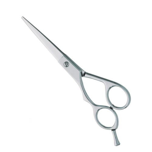 Professional hair Cutting Scissor